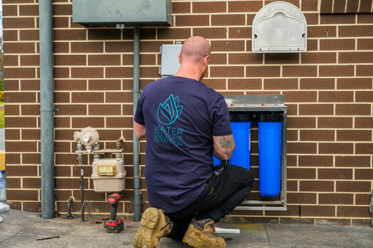 Filter Replacement Installation and Service