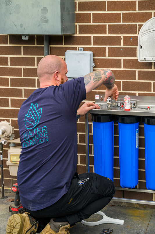 What Filtration System Do I Need?